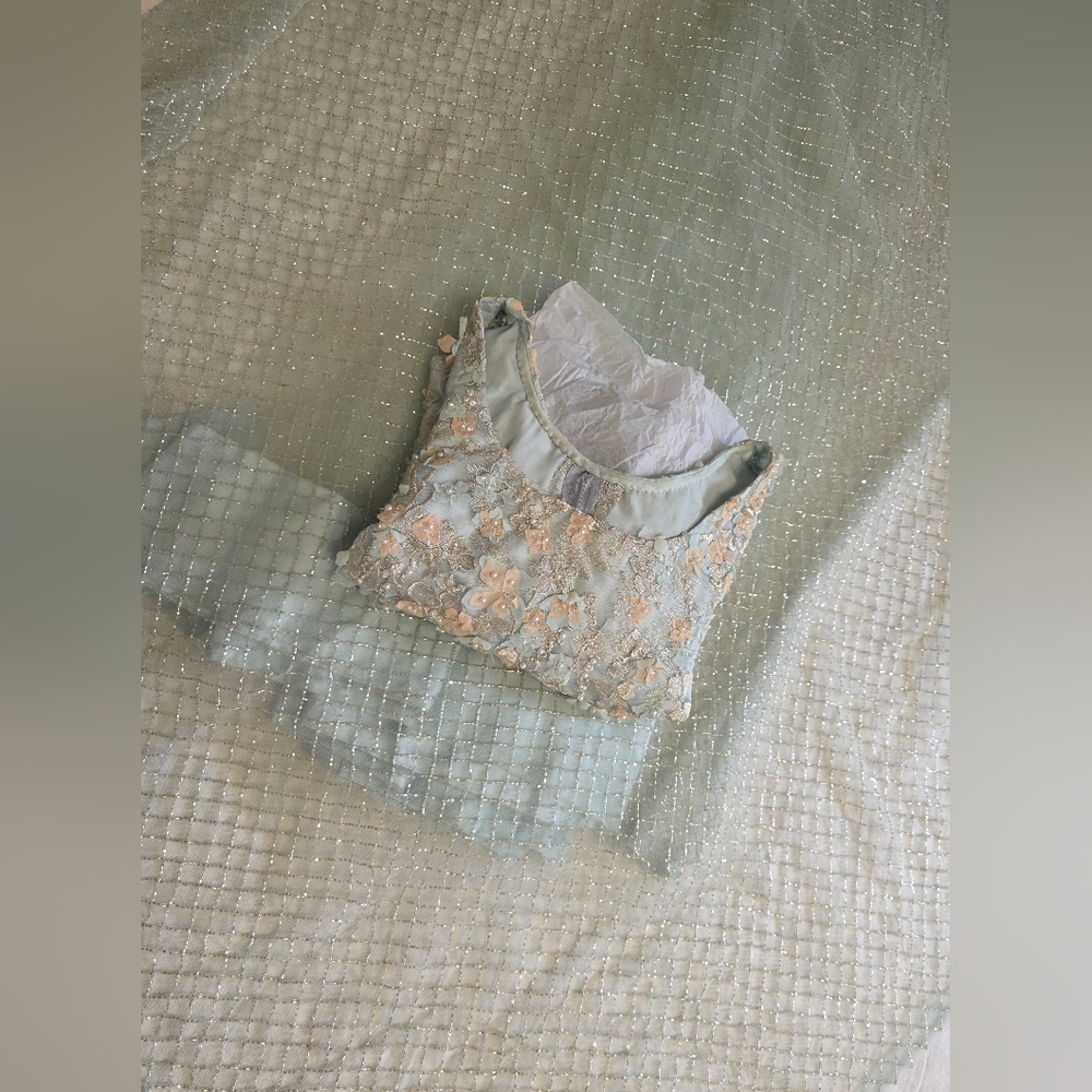 Aqua Blue Embellished Sari - Festive Wear - Indian & Pakistani Wear - Picture 8 of 9